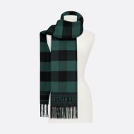 Dior Scarf Check'N'Dior Motif Wool and Angora Green