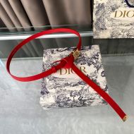 Diorpolytechnique Belt Smooth Calfskin Red/Gold