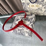 Diorpolytechnique Belt Smooth Calfskin Red/Silver