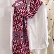 Dior Scarf Oblique Motif Technical Cashmere Burgundy