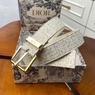 Dior Belt Oblique Motif Canvas White/Gold