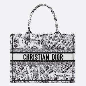 Dior Book Tote Plan de Paris Motif Canvas White